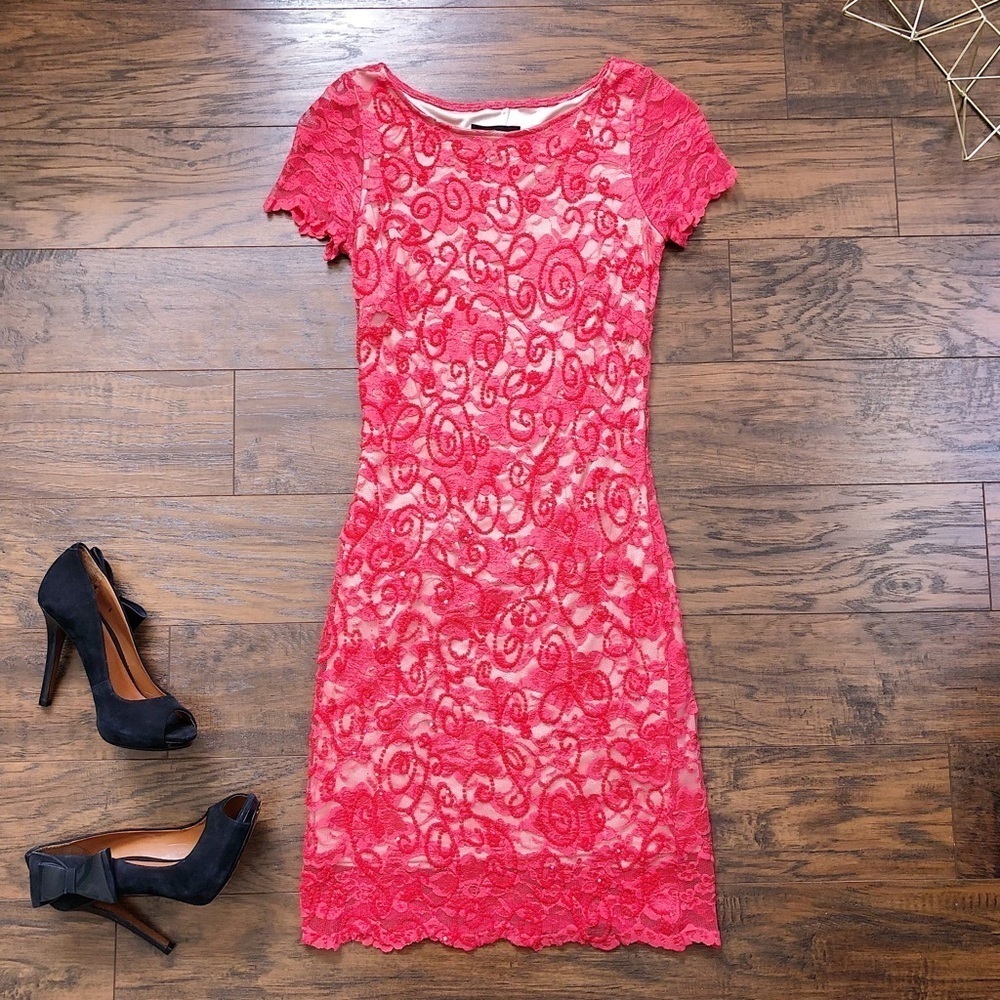Alexia Admor • coral lace sheath dress fitted bodycon sequin stretch cap sleeve
